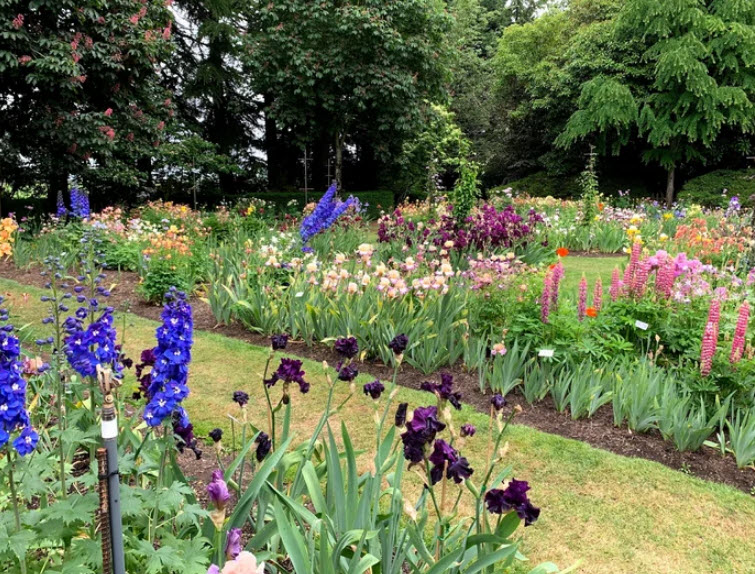 Delbert Hunter Arboretum and Botanical Garden, United States